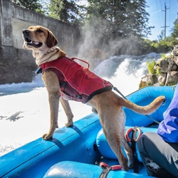 Kurgo Life Jacket Surf N Turf Red