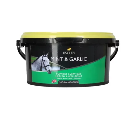 Lincoln Mint & Garlic