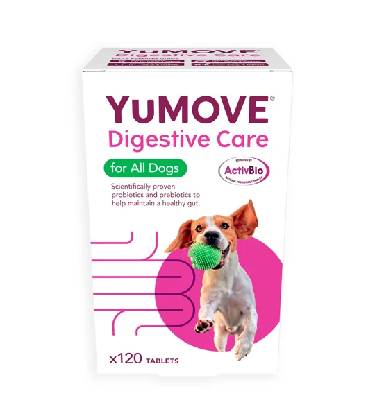 YuMOVE Digestive Care for All Dogs - 120 Tablets