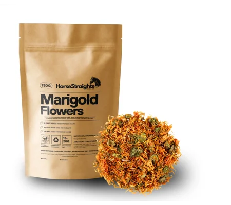Horse Straights Direct Marigold Flowers - 750 Gm