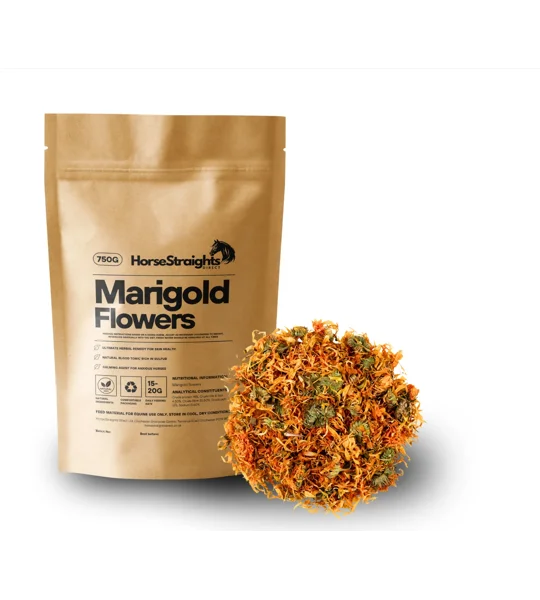 Horse Straights Direct Marigold Flowers - 750 Gm