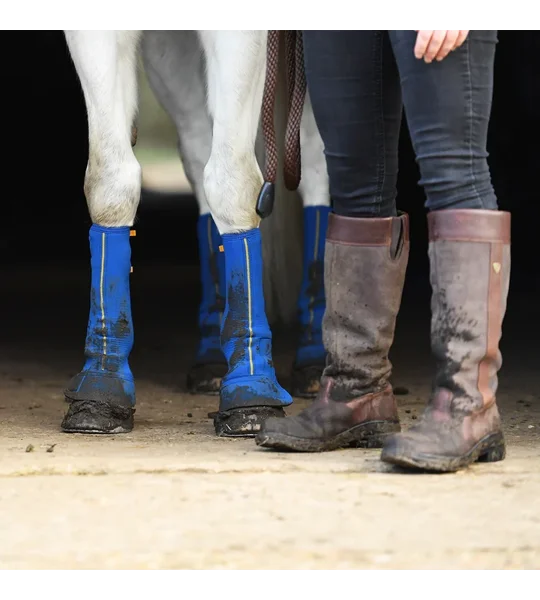 Equilibrium Equi-Chaps Close Contact Chaps Navy