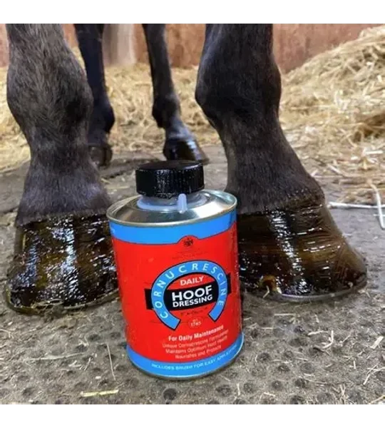 Carr & Day & Martin Cornucrescine Daily Hoof Dressing - 500 Ml