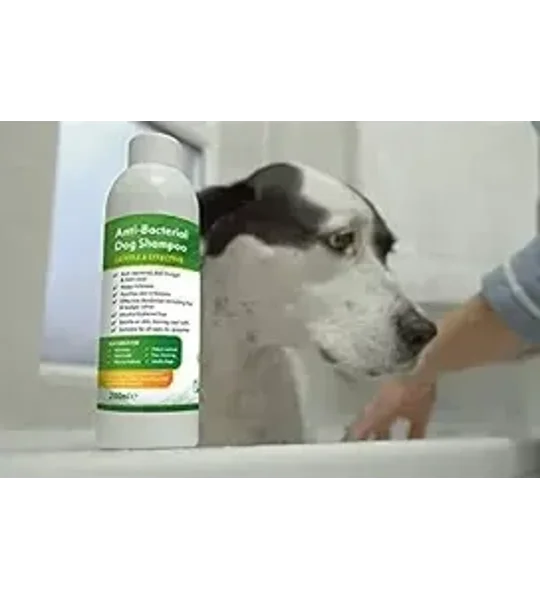 Aqueos Anti-Bacterial Dog Shampoo - 200ml