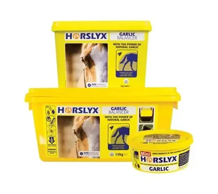 Horslyx Garlic - Balancer