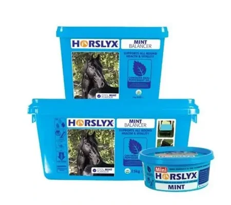 Horslyx Mint