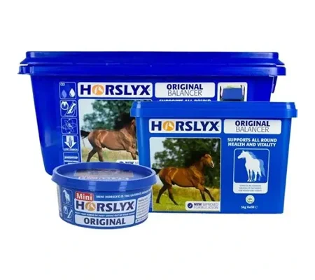 Horslyx Original - Balancer
