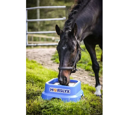 Horslyx 15kg Holder - Blue
