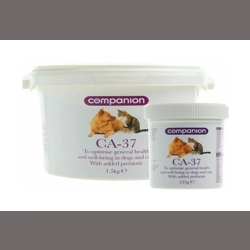Companion CA-37 - 125g