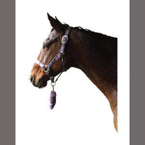 Hy Equestrian Tartan Head Collar with Lead Rope - Purple/Grey/Lilac