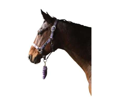 Hy Equestrian Tartan Head Collar with Lead Rope - Purple/Grey/Lilac