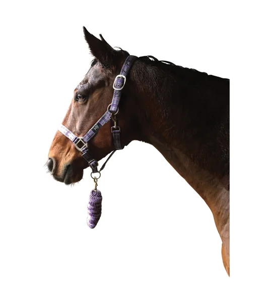 Hy Equestrian Tartan Head Collar with Lead Rope - Purple/Grey/Lilac