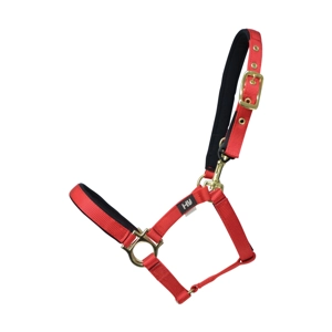 Hy Equestrian Fieldsafe Small Pony & Foal Head Collar - Red