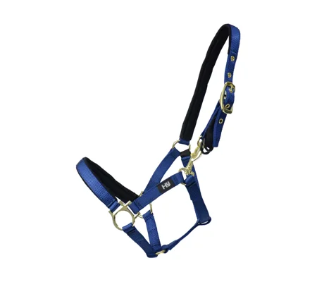 Hy Equestrian Fieldsafe Head Collar Navy