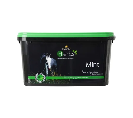 Lincoln Herbs Mint - 600g