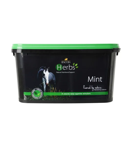 Lincoln Herbs Mint - 600g