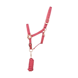 Hy Equestrian Rose Gold Head Collar and Lead Rope - Blush Pink/Rose Gold