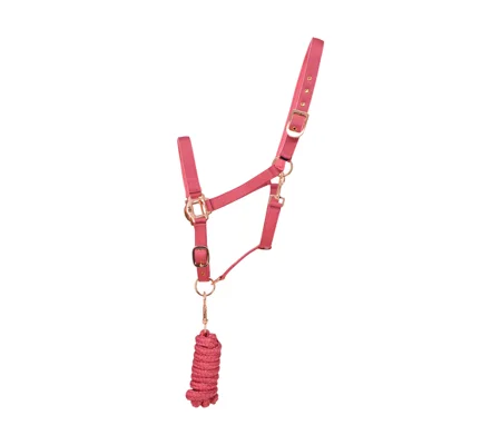 Hy Equestrian Rose Gold Head Collar and Lead Rope - Blush Pink/Rose Gold