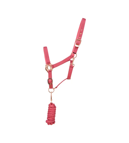 Hy Equestrian Rose Gold Head Collar and Lead Rope - Blush Pink/Rose Gold