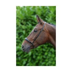 Hy Equestrian Padded Drop Nose Band - Brown