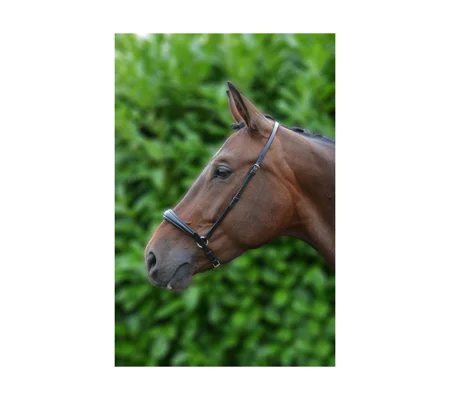 Hy Equestrian Padded Drop Nose Band - Brown