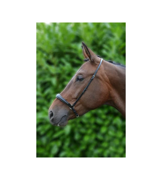 Hy Equestrian Padded Drop Nose Band - Brown