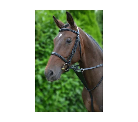 Hy Equestrian Bib Martingale - Brown