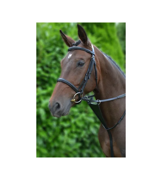 Hy Equestrian Bib Martingale - Black