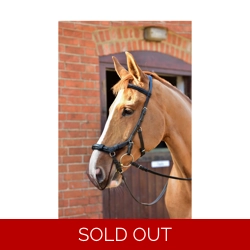 Net Relief Muzzle Net for Micklem Bridles - Black - Cob/Horse