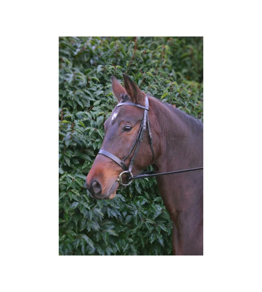 Hy Equestrian Hunter Bridle with Rubber Grip Reins - Brown