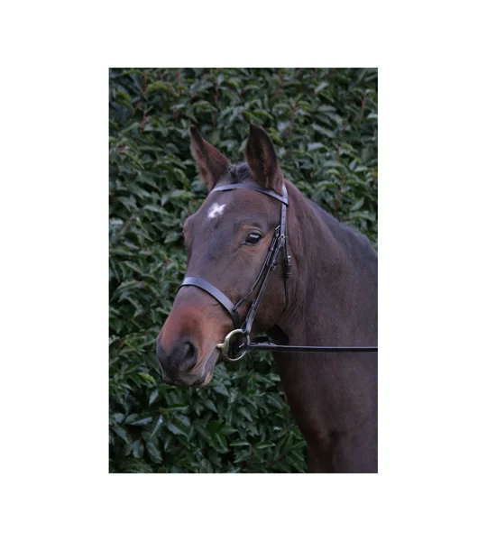 Hy Equestrian Hunter Bridle with Rubber Grip Reins - Brown
