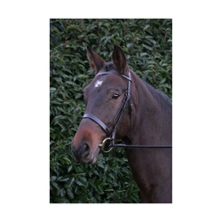 Hy Equestrian Hunter Bridle with Rubber Grip Reins - Black