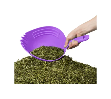 Shark SKUP - Purple