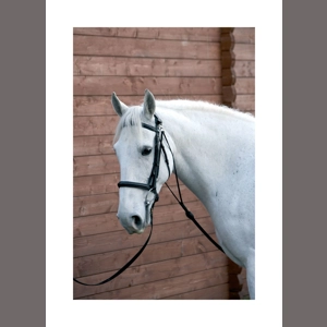 Hy Equestrian Chambon - Black - Cob/Full