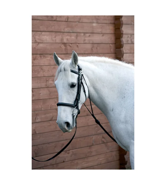 Hy Equestrian Chambon - Black - Cob/Full