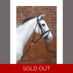 Hy Equestrian De Gouge - Black - Cob/Full