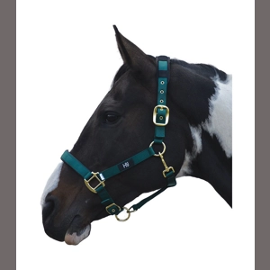 Hy Equestrian Deluxe Padded Head Collar- Bottle Green