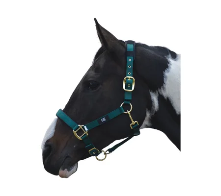 Hy Equestrian Deluxe Padded Head Collar- Bottle Green