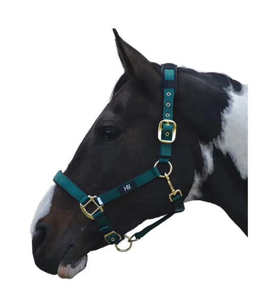 Hy Equestrian Deluxe Padded Head Collar- Bottle Green