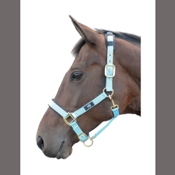Hy Equestrian Deluxe Padded Head Collar - Bright Blue