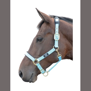 Hy Equestrian Deluxe Padded Head Collar - Bright Blue