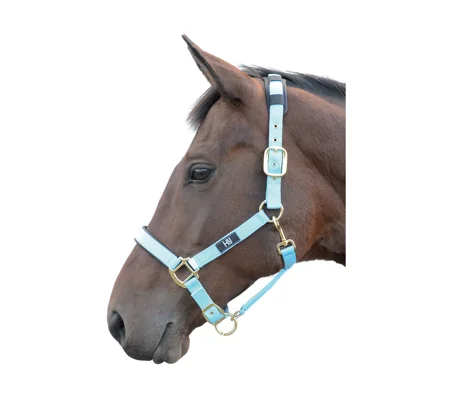 Hy Equestrian Deluxe Padded Head Collar - Bright Blue