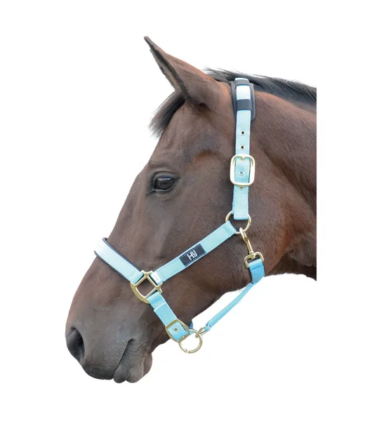 Hy Equestrian Deluxe Padded Head Collar - Bright Blue