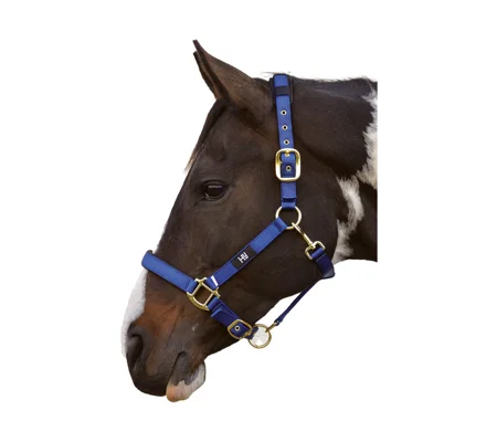 Hy Equestrian Deluxe Padded Head Collar - Navy