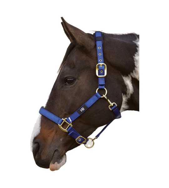 Hy Equestrian Deluxe Padded Head Collar - Navy