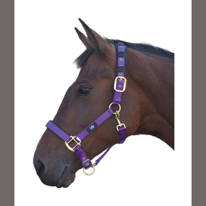 Hy Equestrian Deluxe Padded Head Collar - Purple