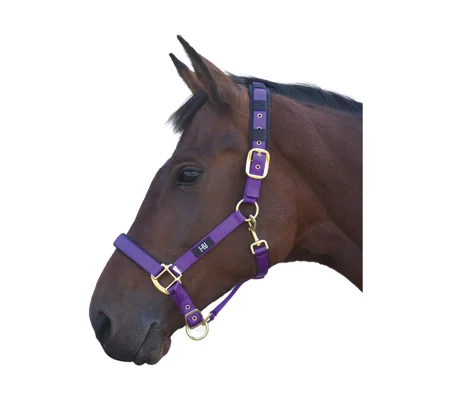 Hy Equestrian Deluxe Padded Head Collar - Purple