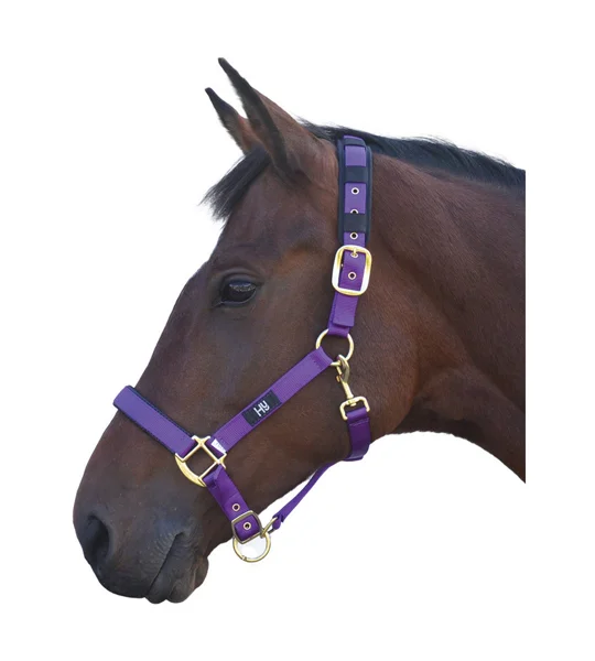 Hy Equestrian Deluxe Padded Head Collar - Purple