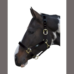 Hy Equestrian Deluxe Padded Head Collar- Black