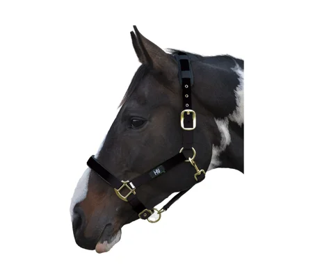 Hy Equestrian Deluxe Padded Head Collar- Black